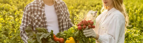 Afaceri agricole profitabile - culturi si idei pentru suprafete mici