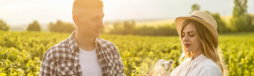 Afaceri agricole profitabile - culturi si idei pentru suprafete mici