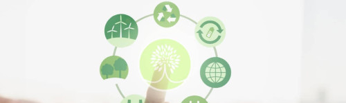 Sustenabilitatea afacerii - ce inseamna si ce masuri poti lua pentru a-ti duce firma intr-o directie sustenabila